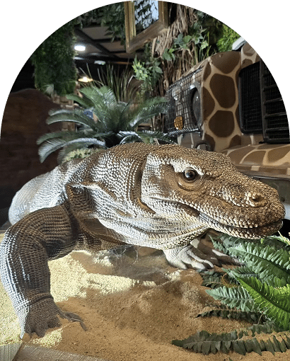 Statue de dragon de Komodo exposée dans le restaurant Safari à Mennecy, élément de décoration inspiré de la nature sauvage.